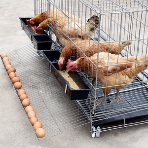 鸡笼子家用室外养殖笼大号特大号养鸡笼子铁鸡舍自动下蛋鸡笼网