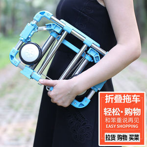 行李架拉杆车家用拉货小车便携折叠学生行李拖车卖菜的手拉车载重