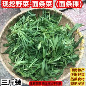 新鲜面条菜野菜5斤包邮河南面条棵菜羊蹄稞柳叶菜蒸菜食材现挖