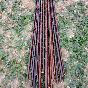 对节木杆节木棍鞭对健身长棍短c棍武运棍按摩术动一体 可定制