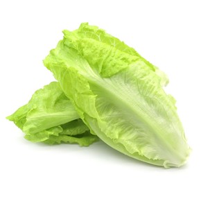 绿行者西班牙生菜新鲜蔬菜西餐配菜沙拉材料叶菜类5斤