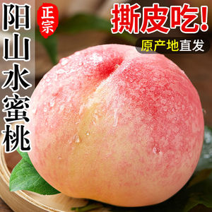 阳山蜜露