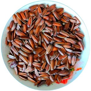 云南特产原味红皮葵花籽农家自产甜糯香生红皮水果