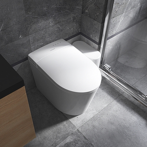 美国西屋智能马桶