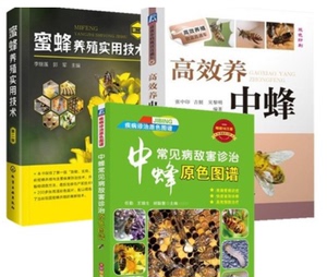 中蜂养殖技术农村资料养蜂技术全套养蜜蜂技术视频5光盘5书籍包邮