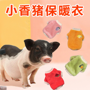 小香猪专用衣服秋冬天保暖宠物猪穿的可爱衣服泰国网红迷你猪用品