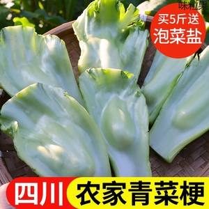 四川青菜梗菜帮青菜柄新鲜蔬菜脆嫩泡菜用现摘青菜头5斤带叶发货
