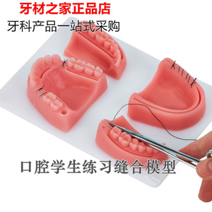 口腔缝合练习模型仿真牙科缝合训练模块口内打结医学生手术用品