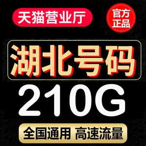 电信流量卡纯流量上网卡湖北手机卡5G号码 武汉宜昌荆州 襄阳黄冈