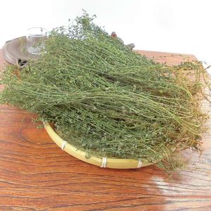 田基黄野生中药新鲜益肝草药材地耳草七寸金寸金草青草药干货凉茶