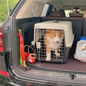 狗笼子外出猫咪箱猫包小中型犬用运输车载托运箱赛优格家居专营店