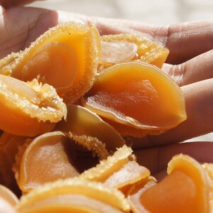 长岛皱纹盘鲍烟台特产大鲍鱼100g装南日鲍鱼佛跳墙原料20-28只装