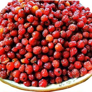 东北野生山丁子