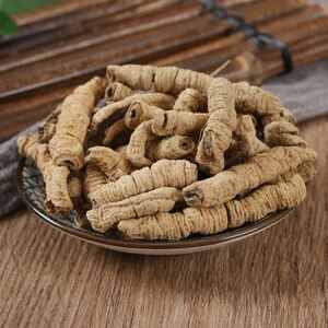 大别山精选中药材巴戟天中药野生新鲜巴戟巴吉天特级可搭杜仲包邮