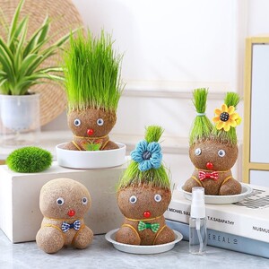 草头娃娃头上长草人小盆栽种植物浇水长头发迷你绿植儿童趣味猫草