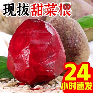 00tb4042952565淘宝新鲜大头菜四川特产宜宾辣菜丝咸儿菜芥菜疙瘩