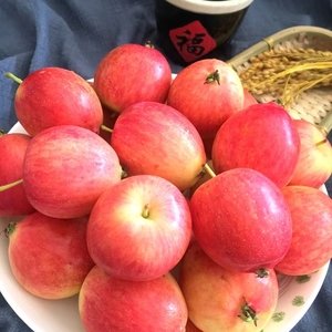 东北内蒙古应季冷冻123小苹果水果沙果海棠果当季红果3斤