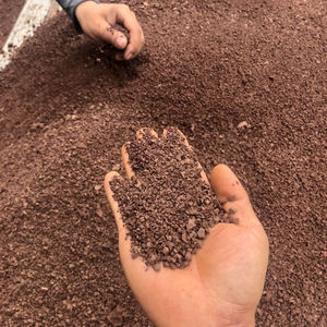 天然弱酸性风化土石谷子金蛋子盆景多肉茶花兰花等植物用土