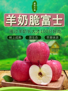 山西运城临猗万荣吉县壶口喝羊奶的冰糖心苹果梨子新鲜红富士10斤