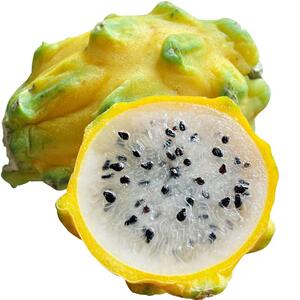 顺丰邮 新fed燕窝果麒麟果黄火龙果原箱有礼盒装高端鲜包稀水果