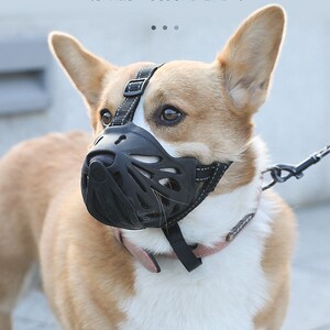 金毛嘴套防叫