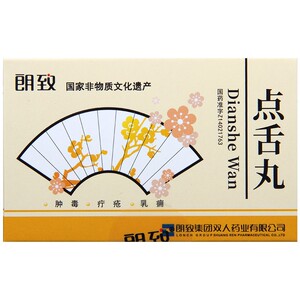 125g*24丸*1瓶/盒 疮疡初起乳痈中通消肿止痛疔疮发背山西梅花点舌丹