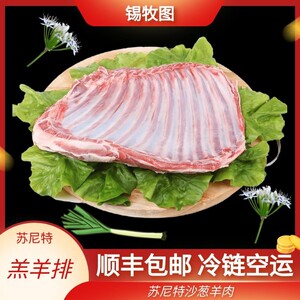 苏尼特沙葱羊肉羔羊排内蒙古羊排手把肉3斤ht