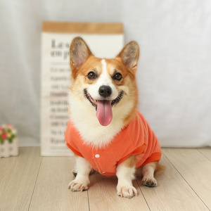 喜庆短腿两脚搞笑小奶狗小型犬a狗狗柯基衣服宠物秋冬季休闲过年