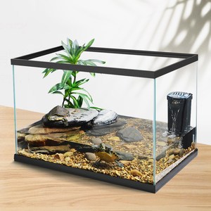 鳄龟专用缸客厅