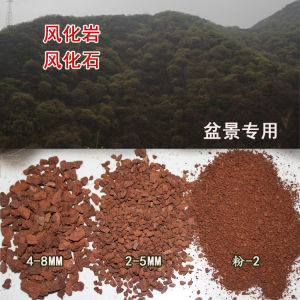 风化石风化岩金弹子盆景生老桩营养颗粒专用土多肉兰花透渗水红石