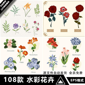 手绘卡通水彩植物花卉花朵玫瑰鲜花包装贺卡装饰插画AI矢量素材图