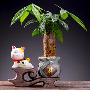 招财猫发财猫客厅家用