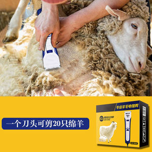 绵羊电推剪大功率插电大型犬剪毛剃毛器剪羊毛的推子剪刀头1个