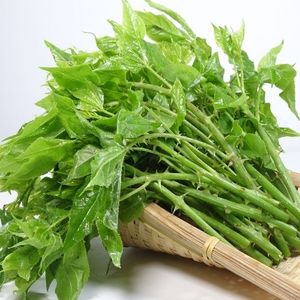 四川新鲜野菜七月尖 苦刺菜簕菜苦刺心白簕鲜嫩勒菜三加叶1/2/5斤