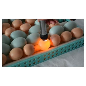 一望照蛋器孵化专用全自动照蛋灯充电式
