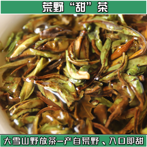 云南普洱茶2022年千年老树野生荒野甜茶【入口即甜】野茶100g包邮