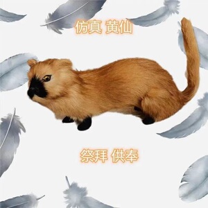 仿真黄鼠狼模型黄仙真身供奉摆件黄皮子鼬工艺品道具玩偶厂家直销