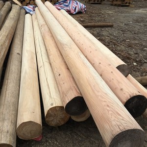 杉木原木圆木柱古建筑木材祠堂木料修建寺庙木屋横梁w栋梁房梁木