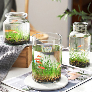 金鱼缸ins风客厅小型网红家用桌面迷你生态摆件玻璃创意透明超白