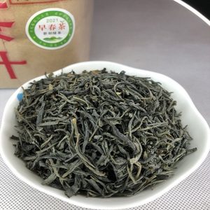 广东高州特产新垌茶叶2021早春茶雨明前绿茶特级茶芽炒青茶250克