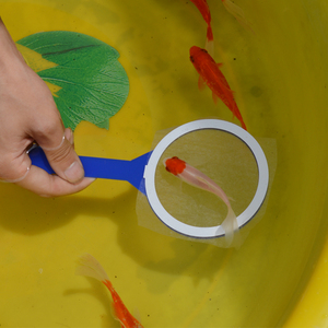 优质纸网捞金鱼夜市摆摊项目地摊货活音用品抖抓快手w货源广场高