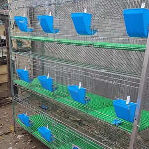 商品兔笼养殖场