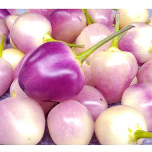 广西农家特产新鲜七彩椒紫色辣椒五彩椒灯笼椒小泡椒1包邮超辣