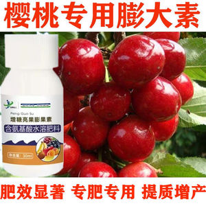 大樱桃坐果剂