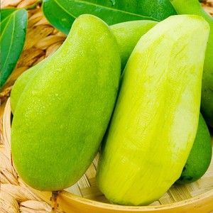 广西象牙芒芒果