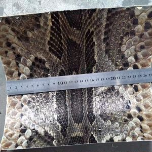 蟒皮 二胡蟒蛇皮 二胡皮 三弦蟒皮 越胡/二胡蒙皮 金花蟒脊背皮