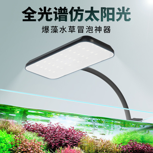 鱼缸灯led灯防水水草灯全光谱仿太阳光爆藻小型射灯鱼缸观赏冒泡