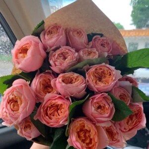 多头玫瑰粉蝴蝶云南昆明花农基地直发10支空运包邮
