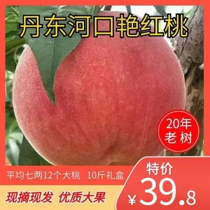 2021丹东河口艳红桃水蜜桃大燕红桃毛桃新鲜水果带箱冬桃