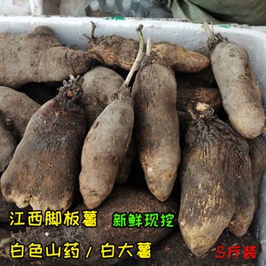 脚板薯白色新鲜现挖江西大薯5斤包邮农家种植蔬菜白肉淮山药毛薯